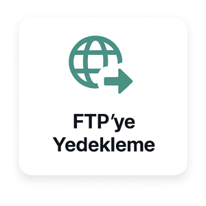ftpyedekleme
